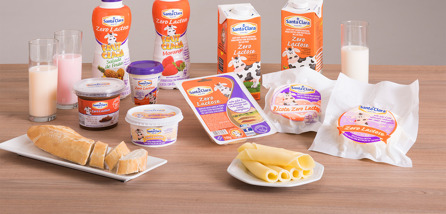 LATICÍNIOS ZERO LACTOSE Santa Clara