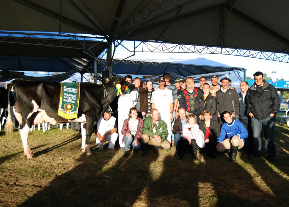 Granja Letícia é grande campeã da raça holandesa da 38ª Expoleite, em Esteio | Blog Santa Clara