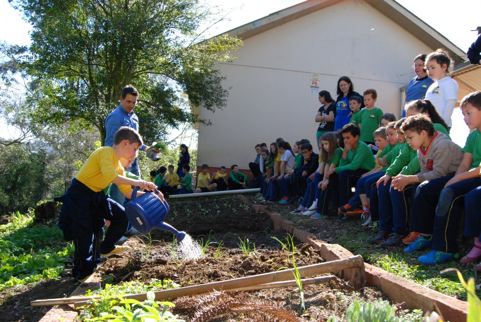 Projeto Plantando o Bem ensina sustentabilidade a mais de 800 estudantes | Blog Santa Clara