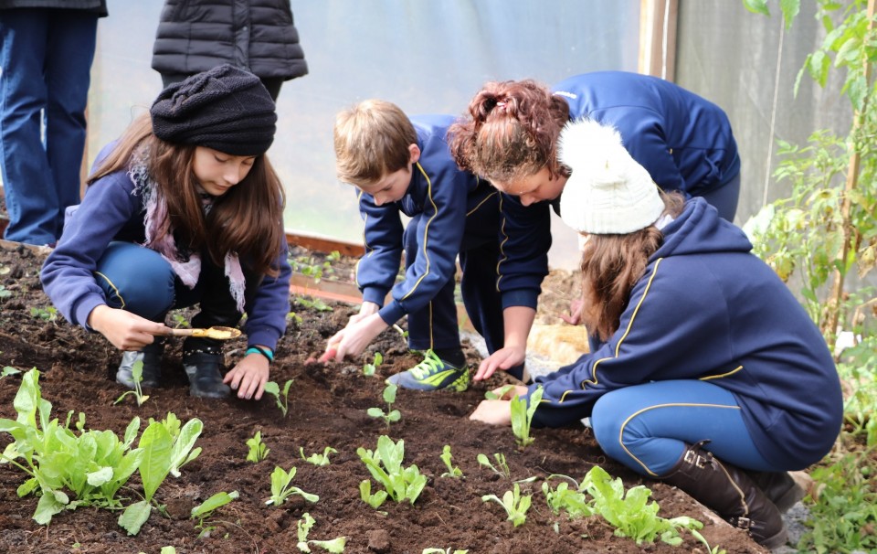 Plantando o Bem foca em aproveitamento dos alimentos | Blog Santa Clara