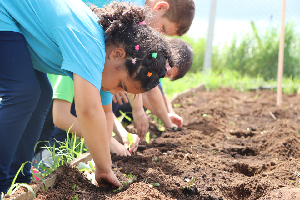 Abertas inscrições do 1º Concurso de Sustentabilidade  Criativa do Programa Plantando o Bem | Blog Santa Clara