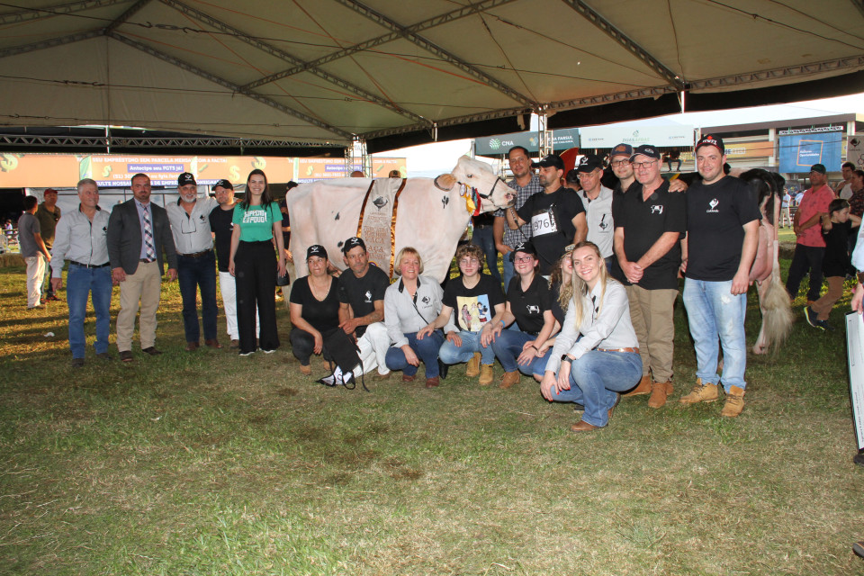 Produtores associados se preparam para participar da 46ª Expointer | Blog Santa Clara