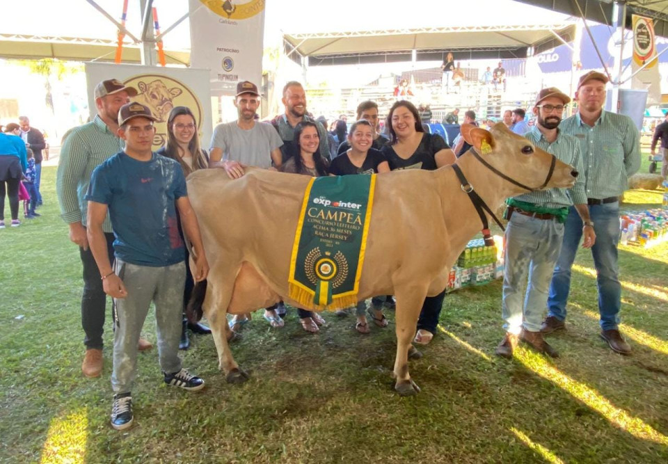 Granja do Nini fica em 1º lugar no Concurso Jersey Vaca Adulta da Expointer | Blog Santa Clara