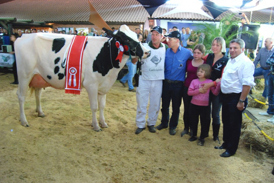 Reservada de Grande Campeã da Expointer 2013 é da Granja Tang | Blog Santa Clara