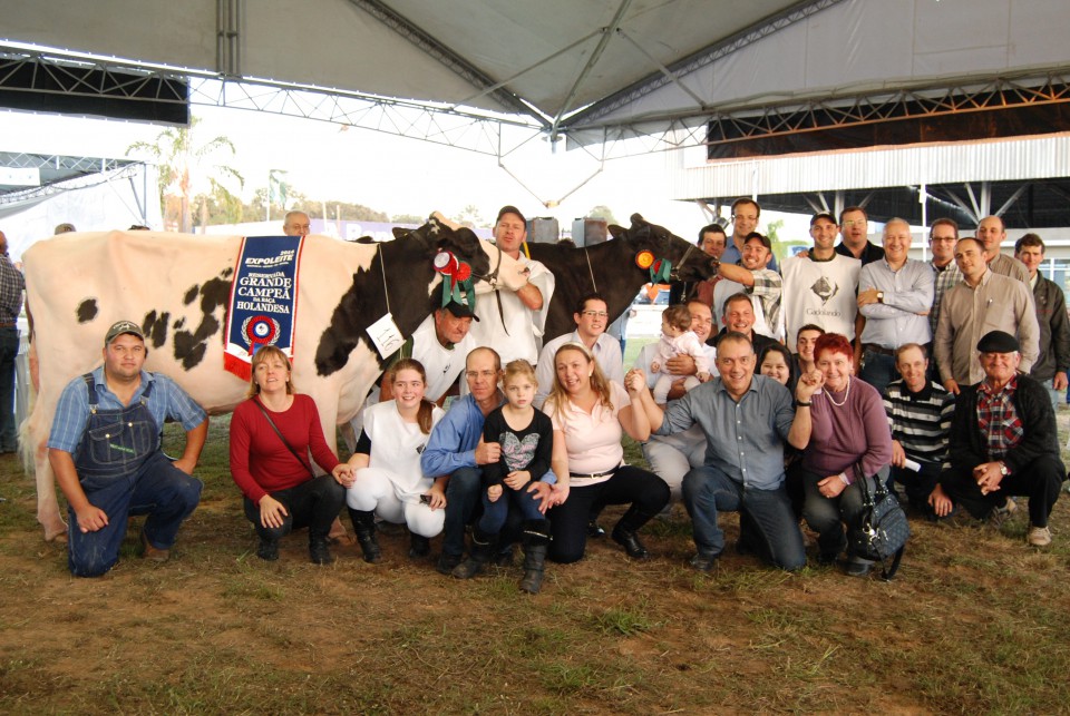 Campeã e Reservada da 37ª Expoleite vêm da Santa Clara | Blog Santa Clara