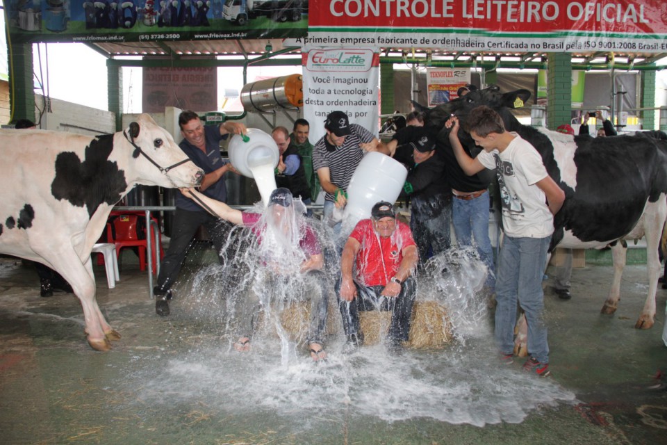Granja União vence Concurso Leiteiro e Granja Tang é reservada Fêmea Jovem na Expointer 2014 | Blog Santa Clara