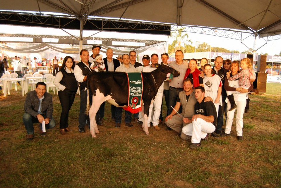 Criador associado à Santa Clara leva Campeonato de Fêmeas Jovens na Expoleite | Blog Santa Clara