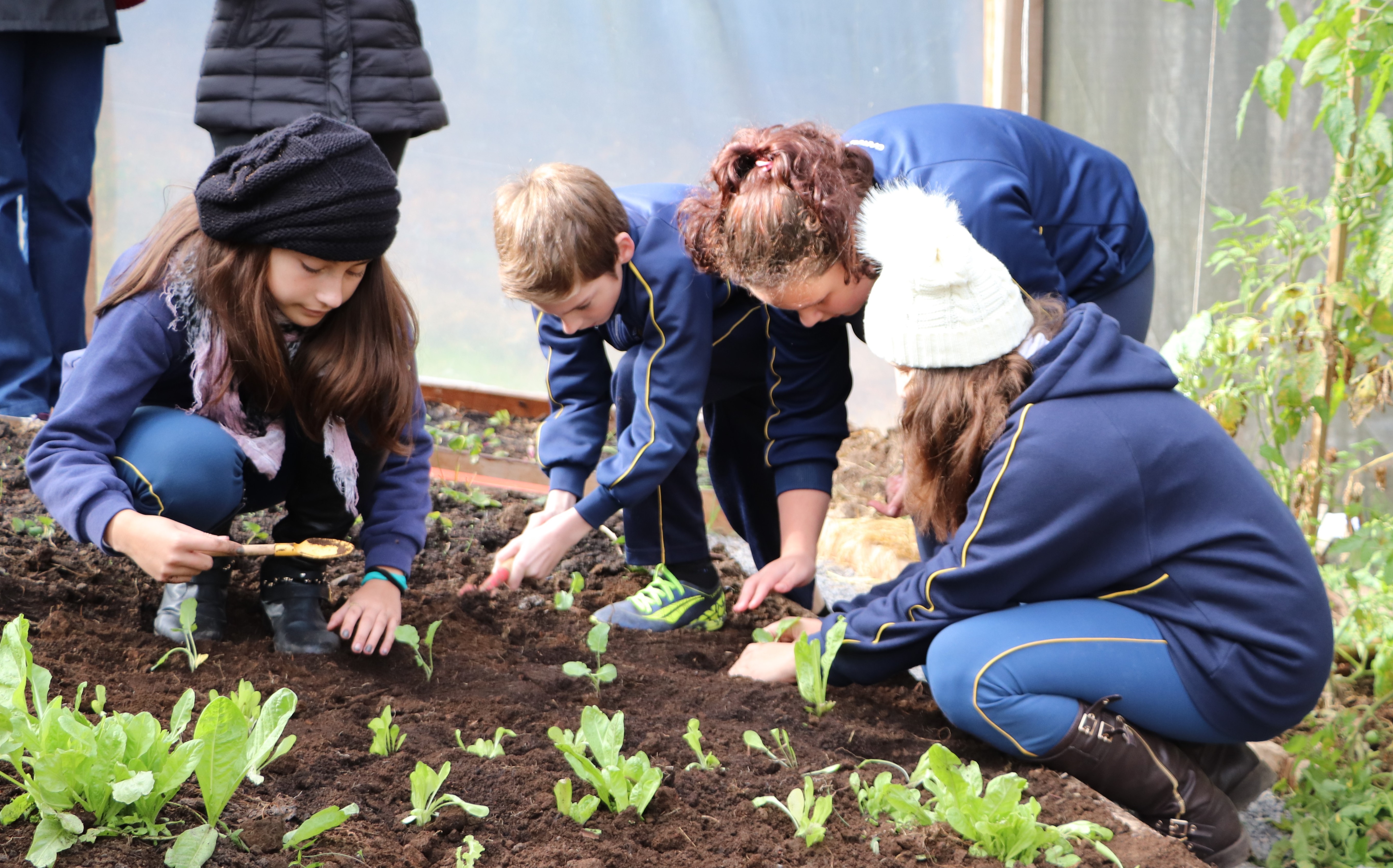 Plantando o Bem 2018 inicia com revitalização de hortas