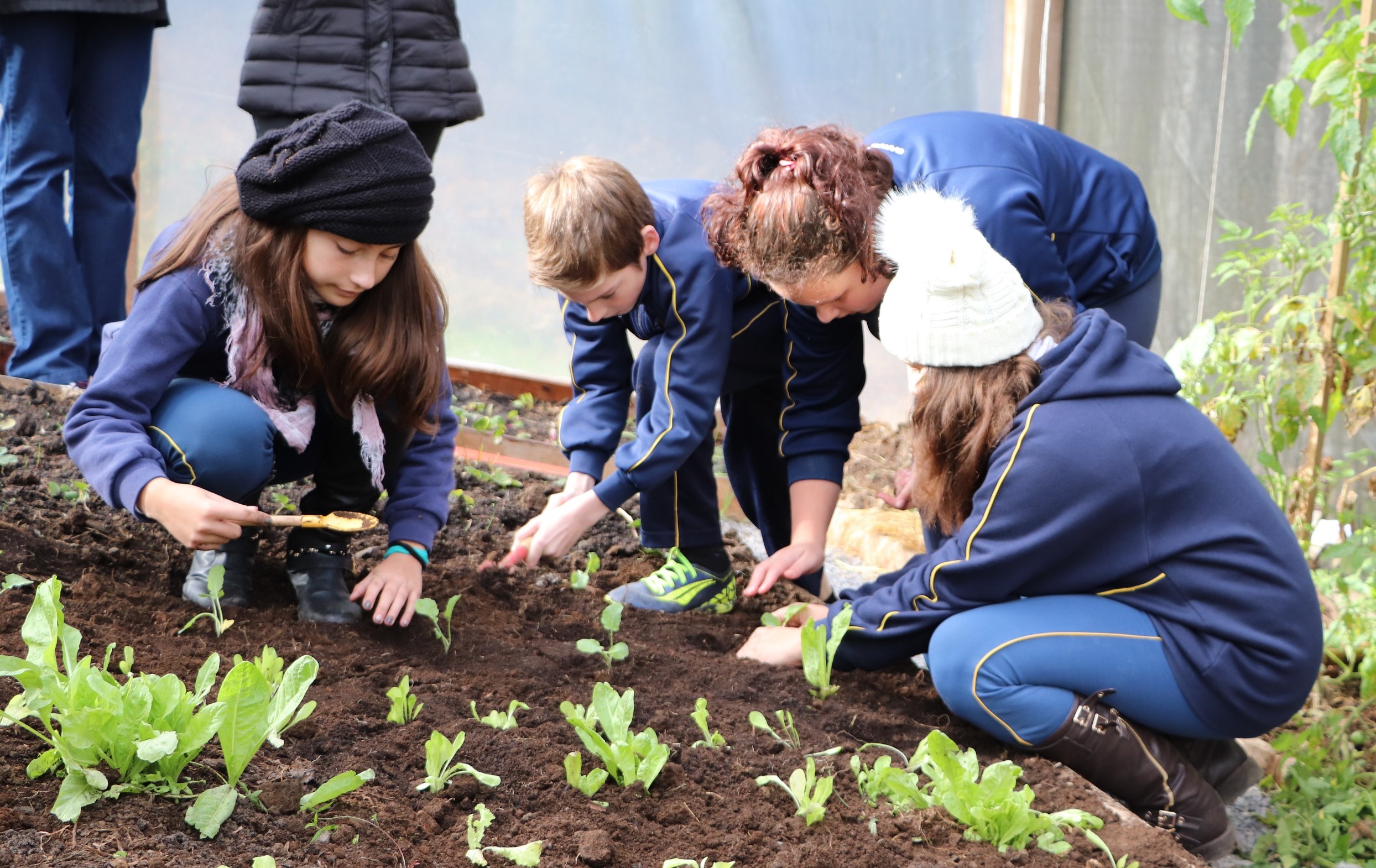 Plantando o Bem foca em aproveitamento dos alimentos
