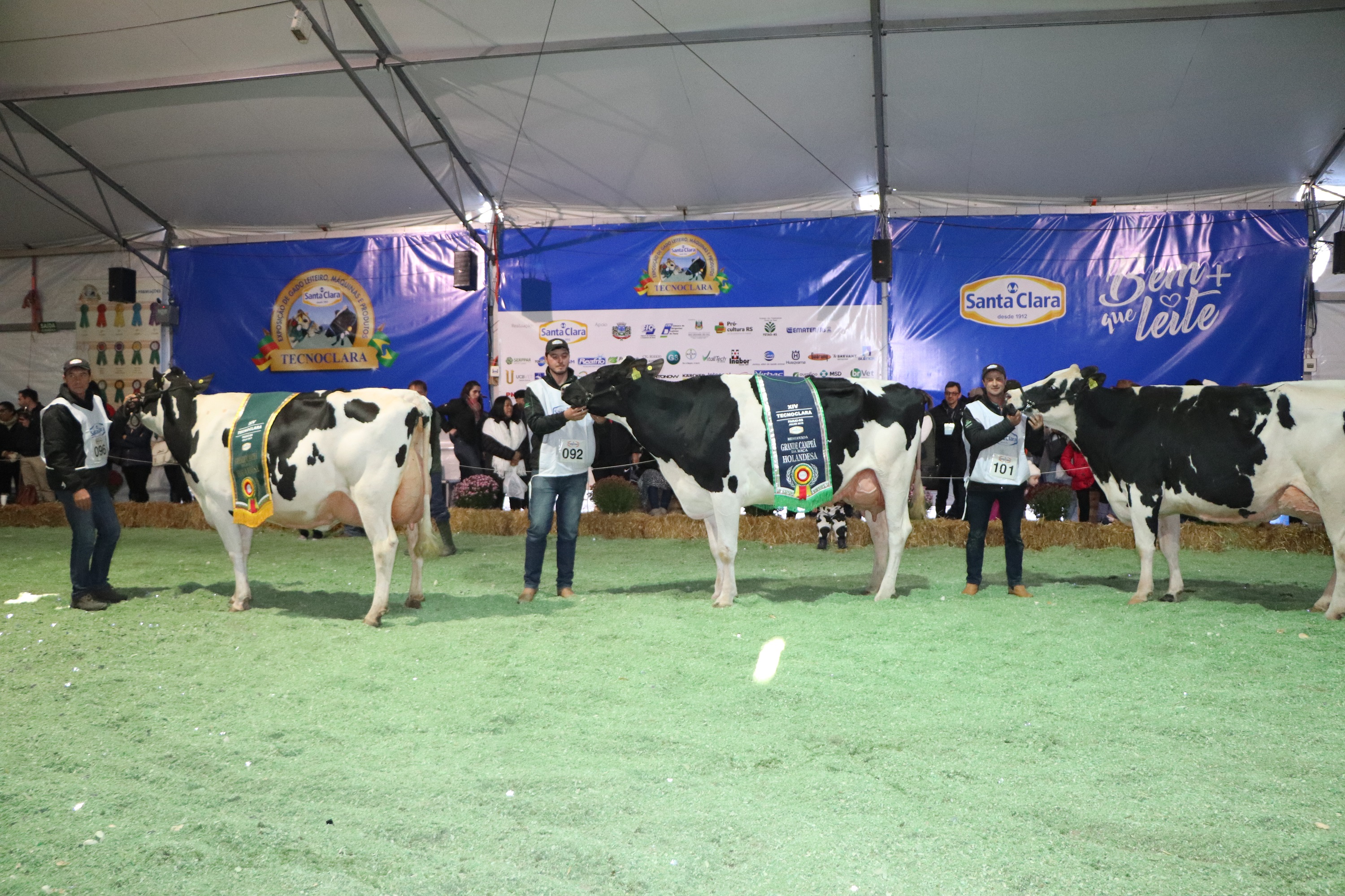 Grandes Campeãs da 14ª TecnoClara são de Cotiporã e Veranópolis