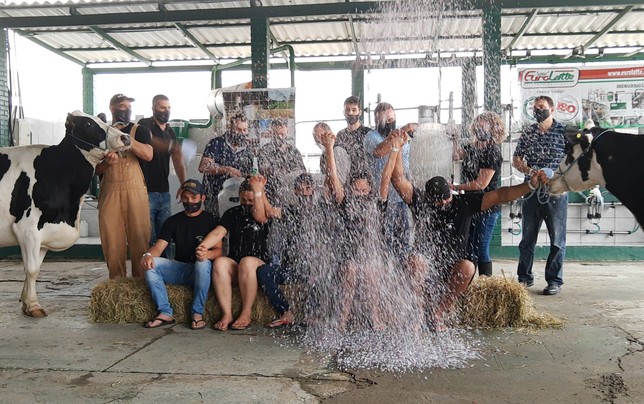 Granja Bazzotti vence Concurso Leiteiro na Expointer Digital 2020
