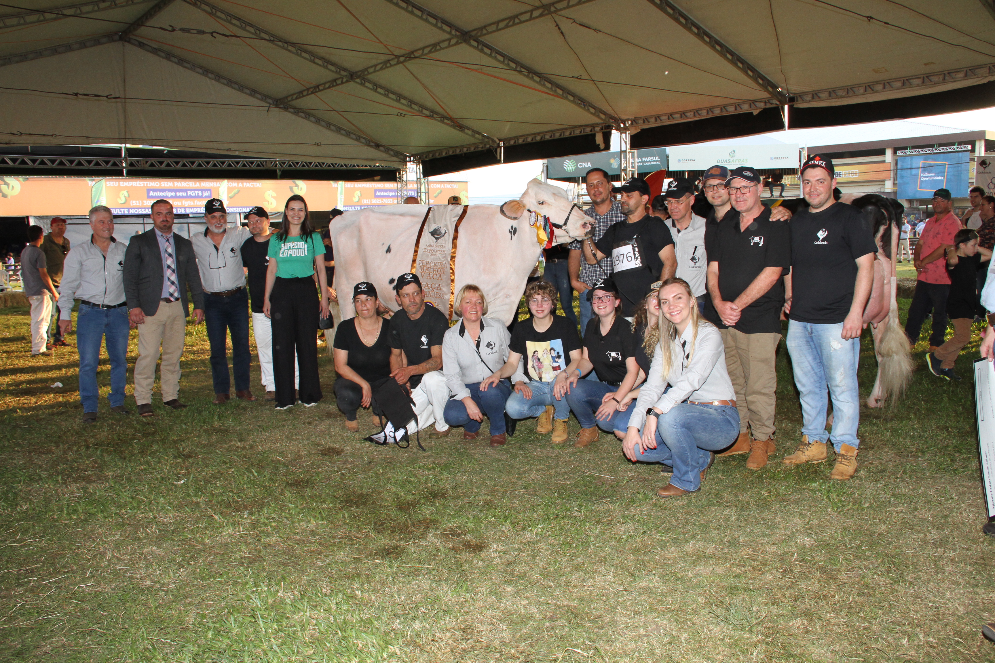 Produtores associados se preparam para participar da 46ª Expointer