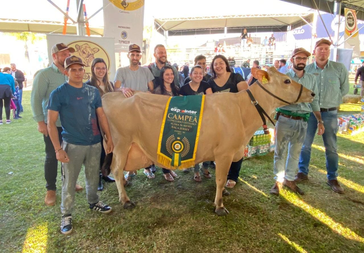 Granja do Nini fica em 1º lugar no Concurso Jersey Vaca Adulta da Expointer 