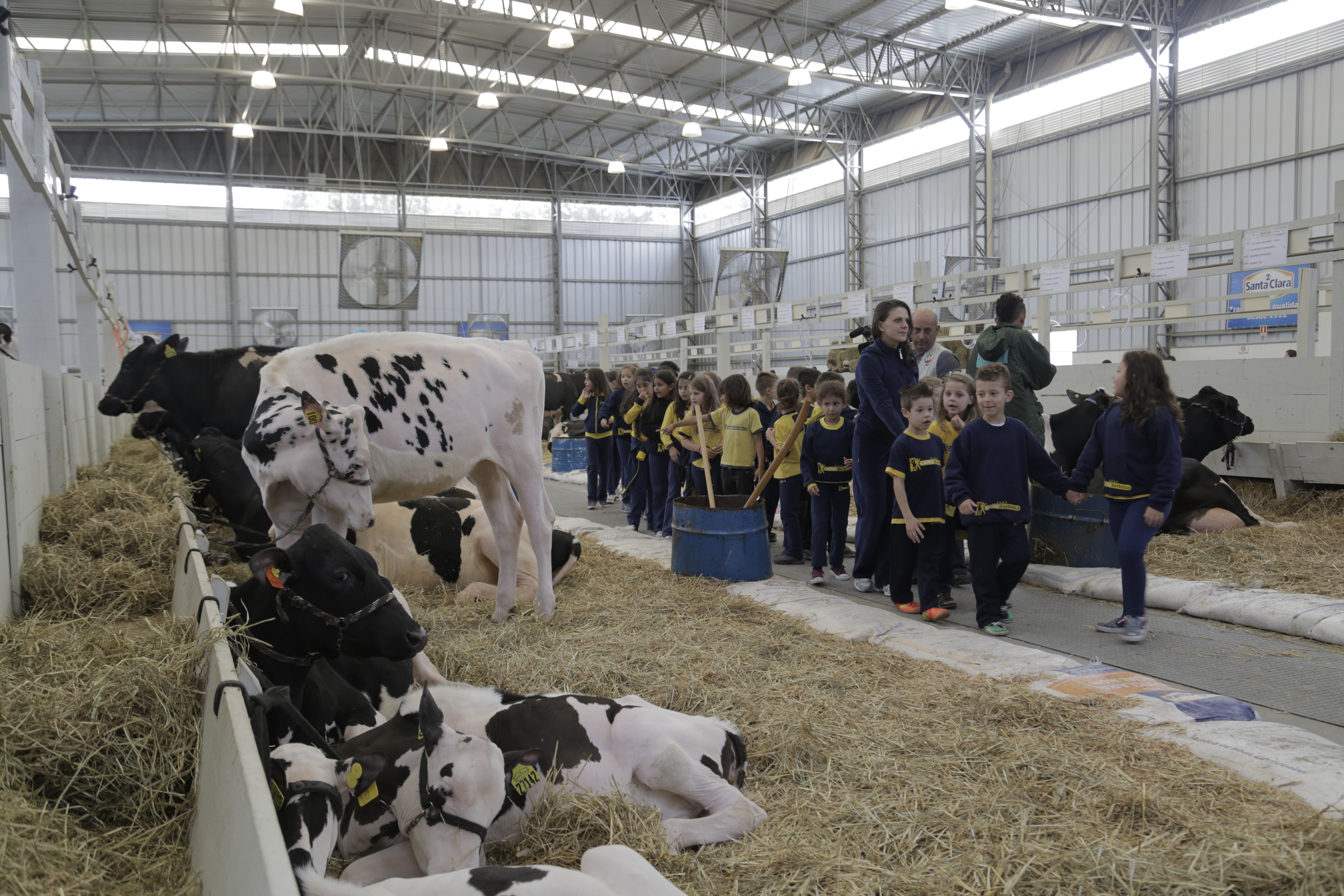 10ª Expoclara abre as porteiras na Fenachamp