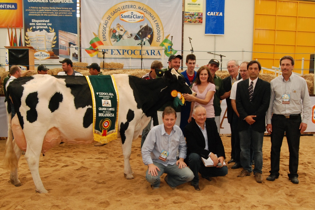 Segundo dia de Expoclara teve Grande Campeã da Holandesa, Jovem Puxador e Leilão