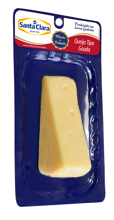 Queijo tipo Gouda (skin pack)