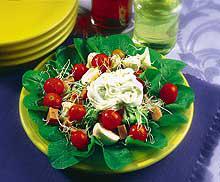 Salada Colorida